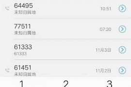 叠彩贷款清欠服务